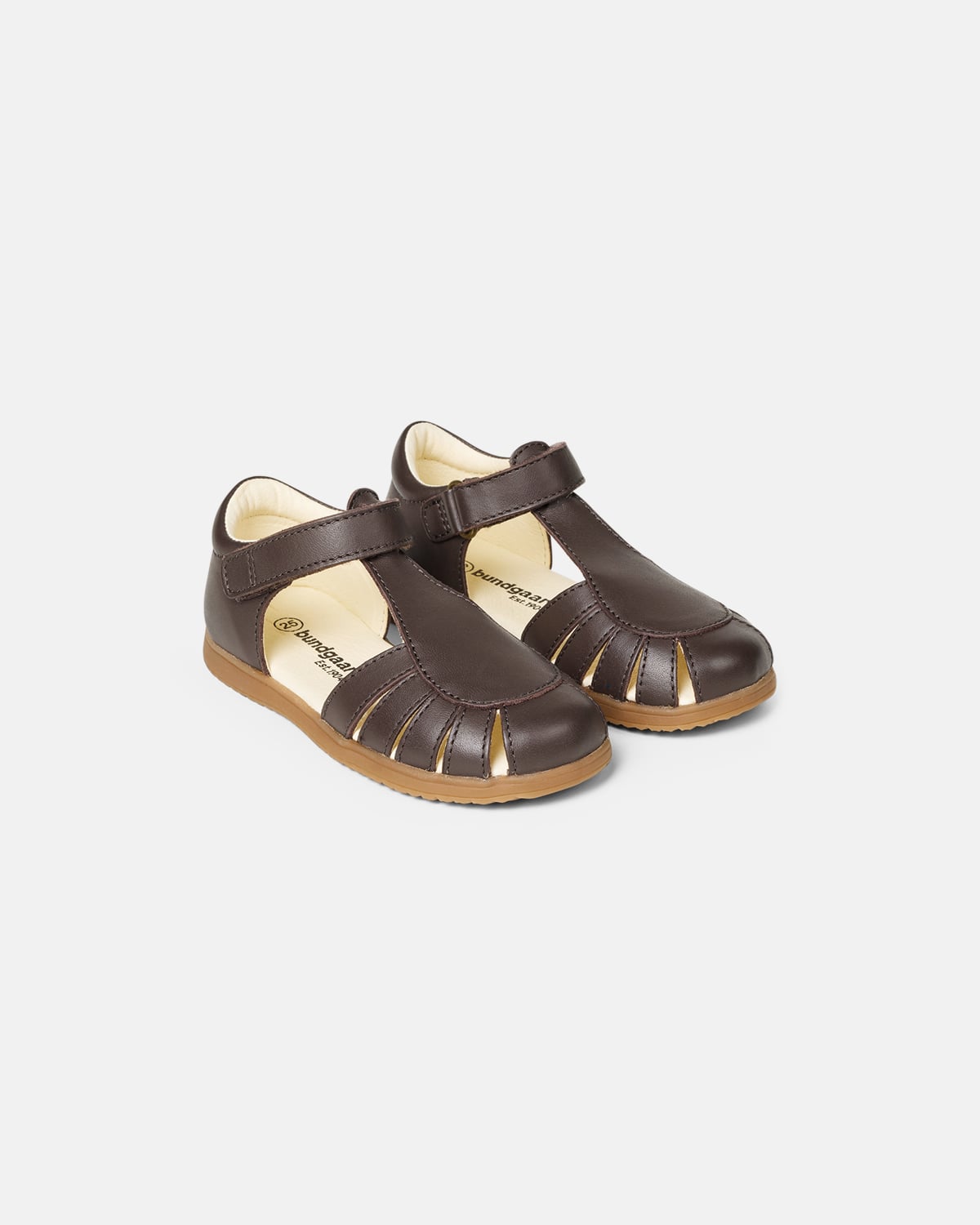 Ivy Dark Brown