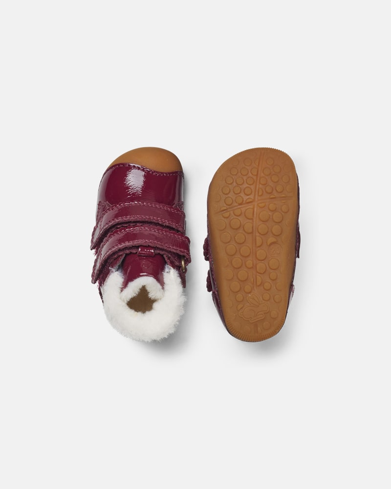 Petit Winter Scallop Berry