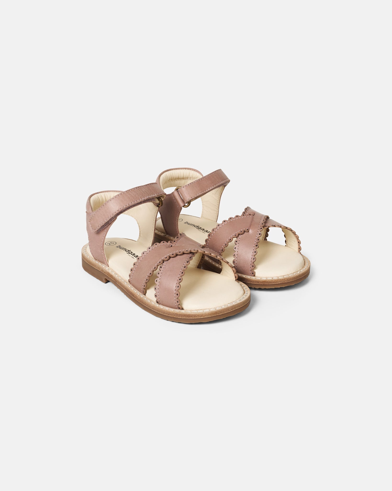 Laura Scallop Dusty Rose