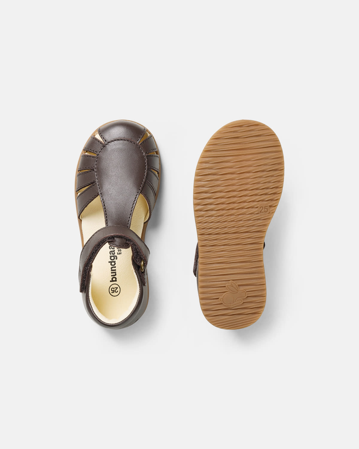 Ivy Dark Brown